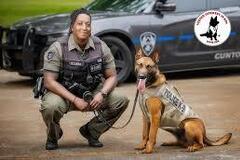 Looking for volunteers: Remote opportunity for animal lovers- Must have good penmanship!