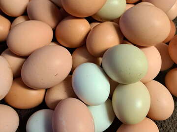 Selling with In-person Payment: Country Fresh Chicken Eggs