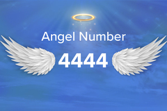 Selling: Angel number 444 are you seeing this?