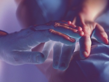 Wellness Session Single: Distance Reiki with Lauren