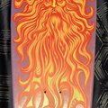 Selling with online payment: Santa Cruz Jason Jessee Pro Series 88 Sungod Deck