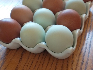 Selling with In-person Payment: Backyard eggs from small flock