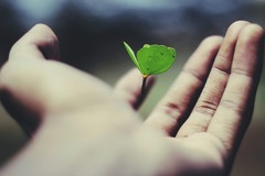 Selling:   Clarity & Life Path Reading