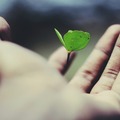 Selling:   Clarity & Life Path Reading