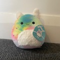 Selling with online payment: Rainbow squishmallow