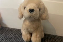 Selling with online payment: Labrador puppy plush