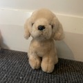 Selling with online payment: Labrador puppy plush