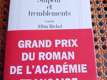 Vente: Stupeur et tremblements - Amélie Nothomb - Albin Michel