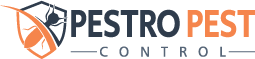 Pestro Pest Control – Reliable & Affordable Pest Removal Services
