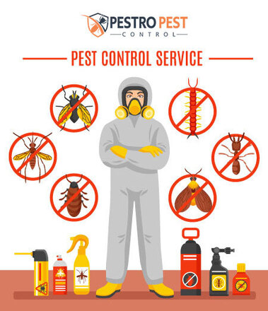Pestro Pest Control – Reliable & Affordable Pest Removal Services