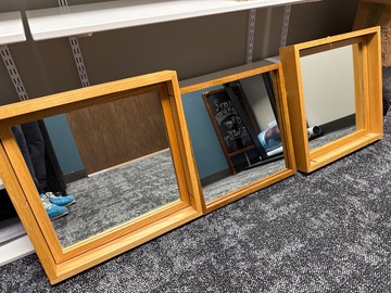 Selling with online payment: 3 Exam lane mirrors 