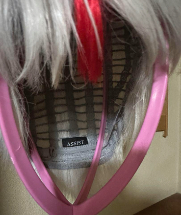 Hanyo no Yashahime (Inuyasha) Towa Higurashi XL