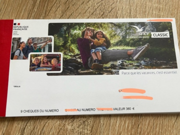 Vente: Chèques Vacances ANCV (380€)