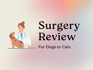 Wellness Session Single: Surgery Review: For Dogs or Cats with Jimmy