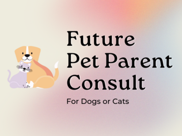 Wellness Session Single: Future Pet Parent Consult: For Dogs or Cats with Jimmy