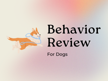 Wellness Session Single: Behavior Review: For Dogs with Jimmy