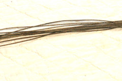 VIP Member: 1920-30s Silk Wire wound snare wires 38" long 6 strands on tab