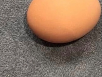 Selling with online payment: Fresh eggs everyday!