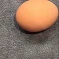 Selling with online payment: Fresh eggs everyday!