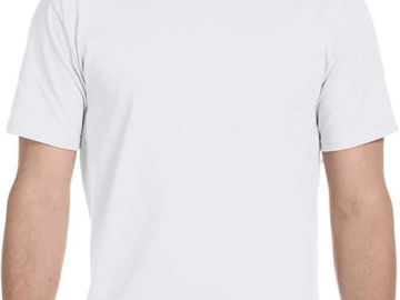 Bulk Lots: Hanes Mens Classic Fit T shirt Style 5280