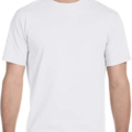 Bulk Lots: Hanes Mens Classic Fit T shirt Style 5280