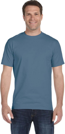 Hanes Mens Classic Fit T shirt Style 5280