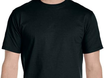 Bulk Lots: Hanes Mens Classic Fit T shirt Style 5280
