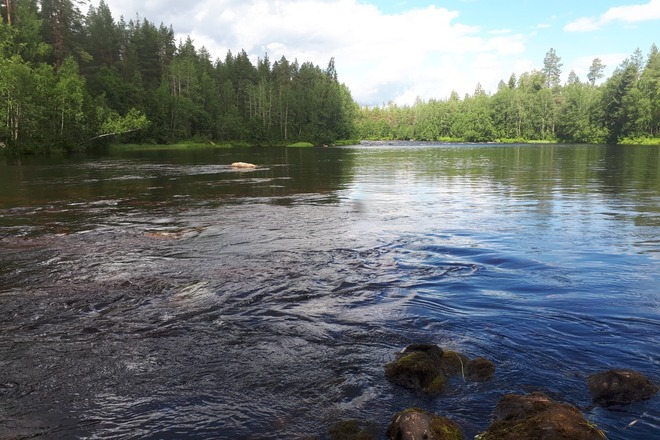 Packraft MRS Alligator koskikanootti 