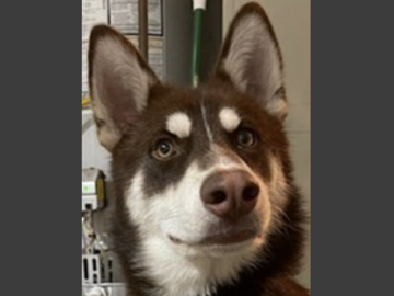   : Jake