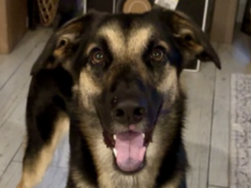   : Murphy