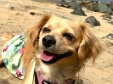   : Kiona