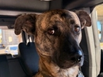   : Max
