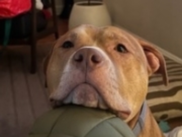   : Rudy