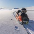 Hyr ut (per day): Fjellpulken Expedition Xplorer 168 cm ahkio