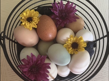 Selling with In-person Payment: Farm fresh unwashed eggs