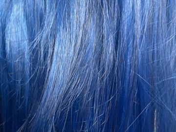 Selling with online payment: Long Dark Blue Wig