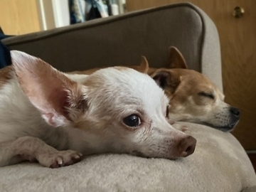   : Munchie & Pinky