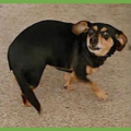  : Bubba