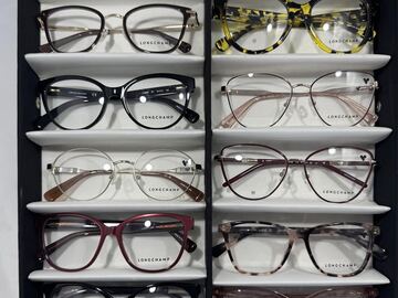 Selling with online payment: 12 Longchamp frames. $28 each. $336 total + shipping= $349 Total.