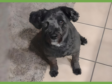  : Max