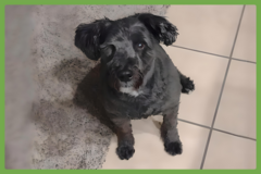 : Max