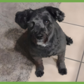  : Max