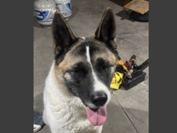   : Mika