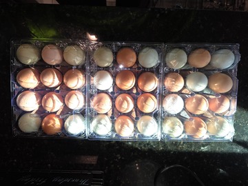 Selling with In-person Payment: Fresh farm chicken eggs (Alvarado, TX)