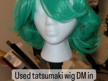 Selling with online payment: Tatsumaki Wig