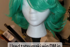 Selling with online payment: Tatsumaki Wig