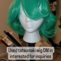 Selling with online payment: Tatsumaki Wig