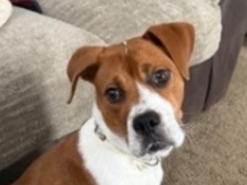   : Cooper