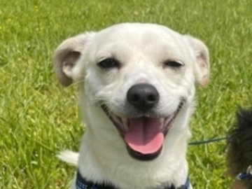   : Albie