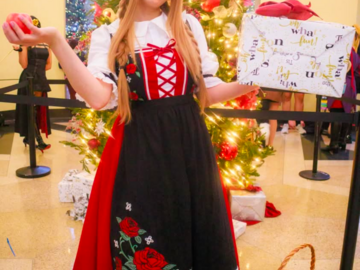 Selling with online payment: Holo Spice & Wolf Cosplay